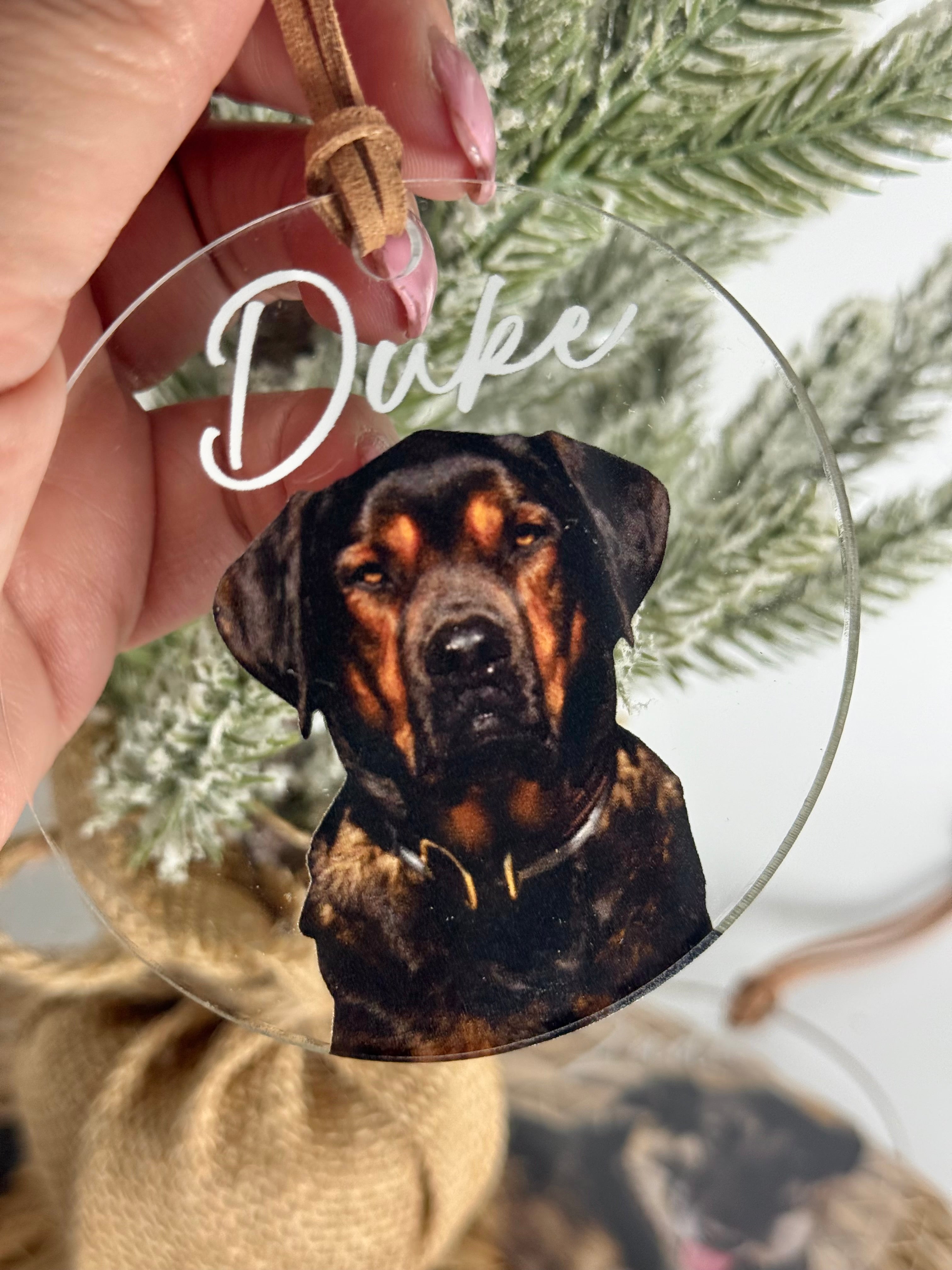 Modern Clear Acrylic Pet Photo Ornament